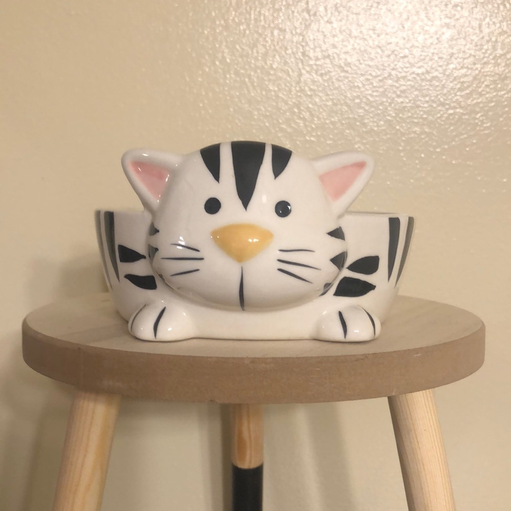 Cat Bowl Feeder